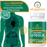 Ulmubra Liposomal Luteolin Softgels 800mg softgel close-up