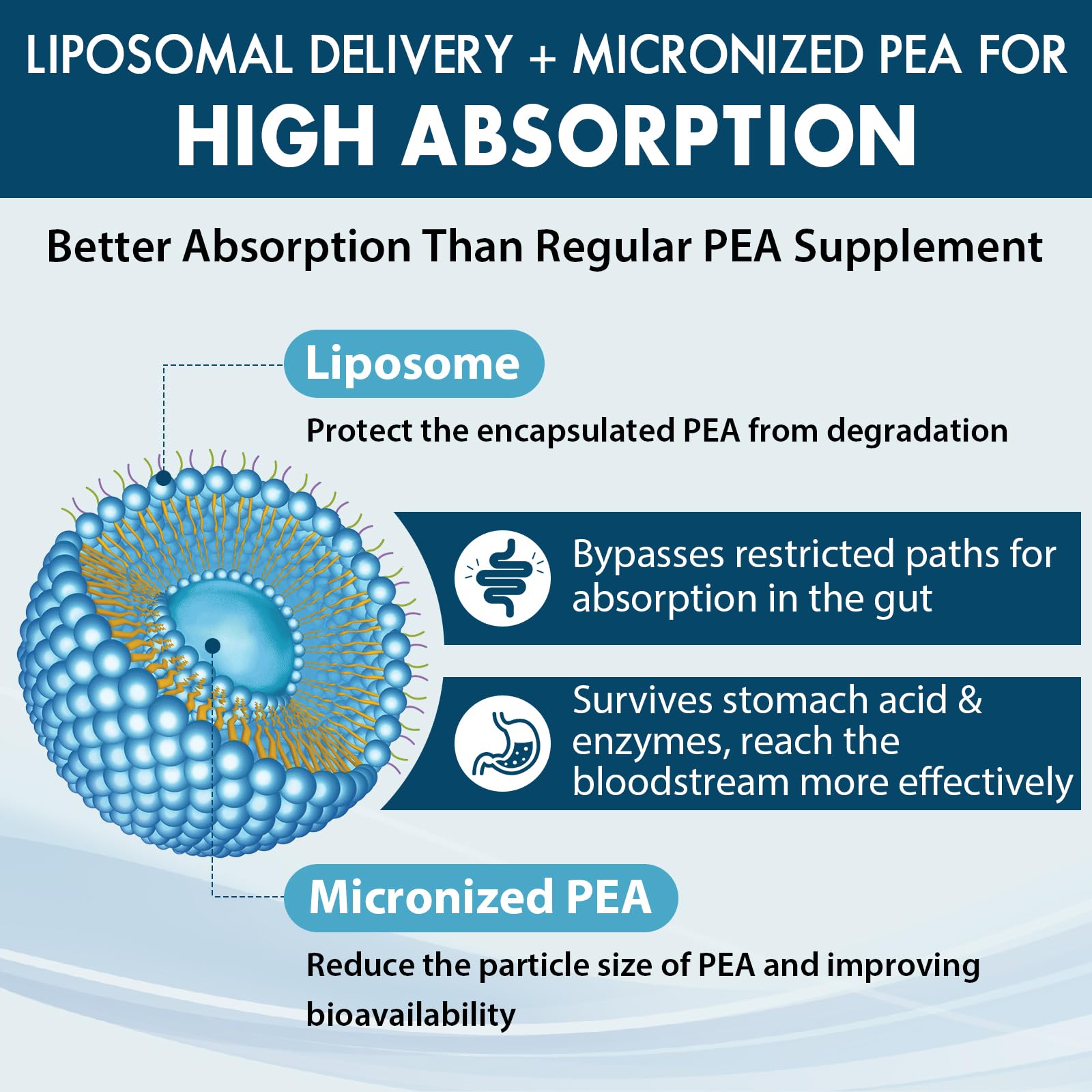 Ulmubra Liposomal PEA Supplement 1300mg ingredients list