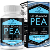 Ulmubra Liposomal PEA Supplement front view with softgel capsules