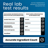 Ultimate Berberine Supplement packaging details