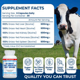 Ultimate Liver Extracts Supplement 600mg grass-fed liver capsules side view