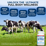 Ultimate Liver Extracts Supplement packaging with 60 capsules