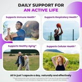 ULTRA HERBS Quercetin Supplement ingredients list