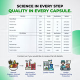 ULTRA HERBS Rhodiola Rosea capsules in hand