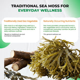 ULTRA HERBS Sea Moss Supplement displayed with natural herbs