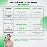 ULTRA HERBS Sea Moss Supplement on a kitchen counter