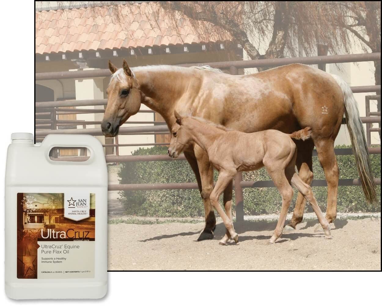 UltraCruz Equine Flax Oil Supplement label close-up