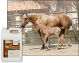 UltraCruz Equine Flax Oil Supplement label close-up
