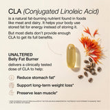 UNALTERED CLA Fat Burner on kitchen counter