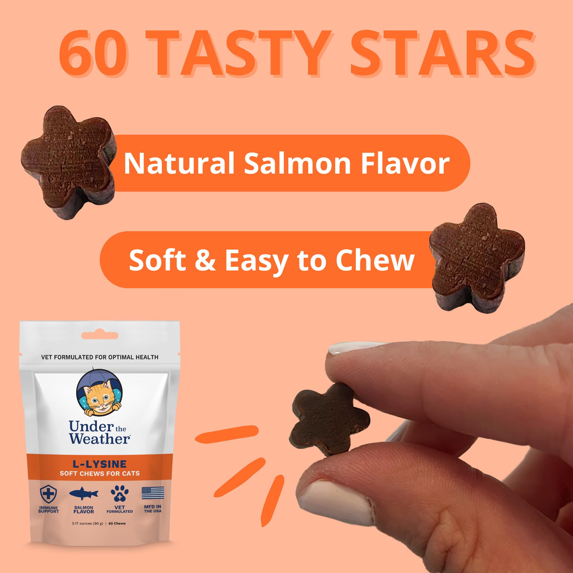 Under the Weather L-Lysine Cat Chews 60 Count Salmon Flavour chews close-up