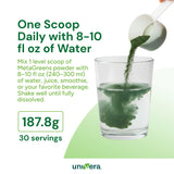 Univera MetaGreens mixed with smoothie