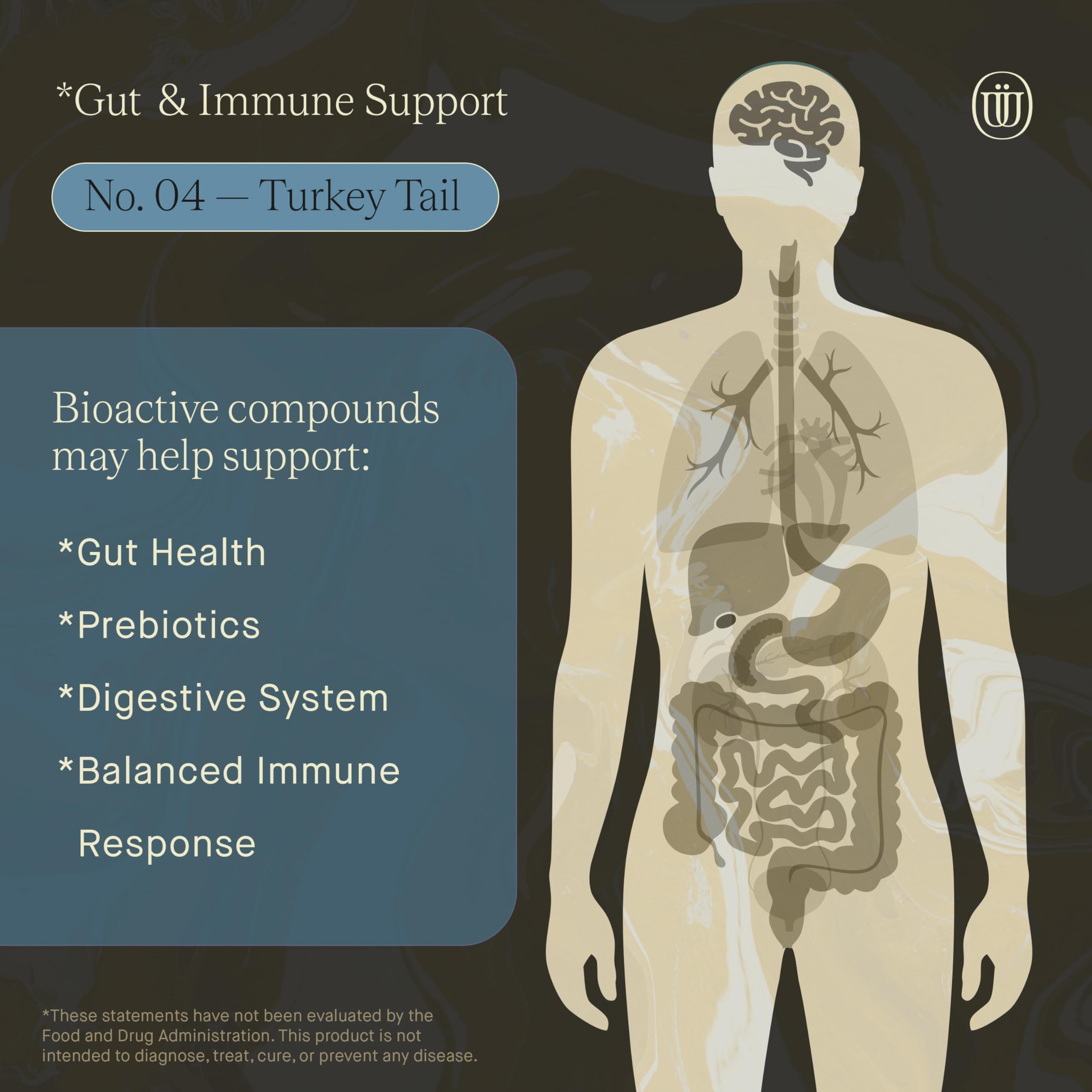 UPHORIC URTH Turkey Tail Mushroom Tincture with measuring spoon