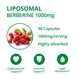 UpNourish Berberine 1000mg capsules close-up of capsules