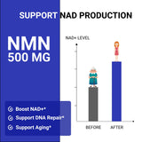 UpNourish NAD+ support 500mg NMN supplement ingredients list