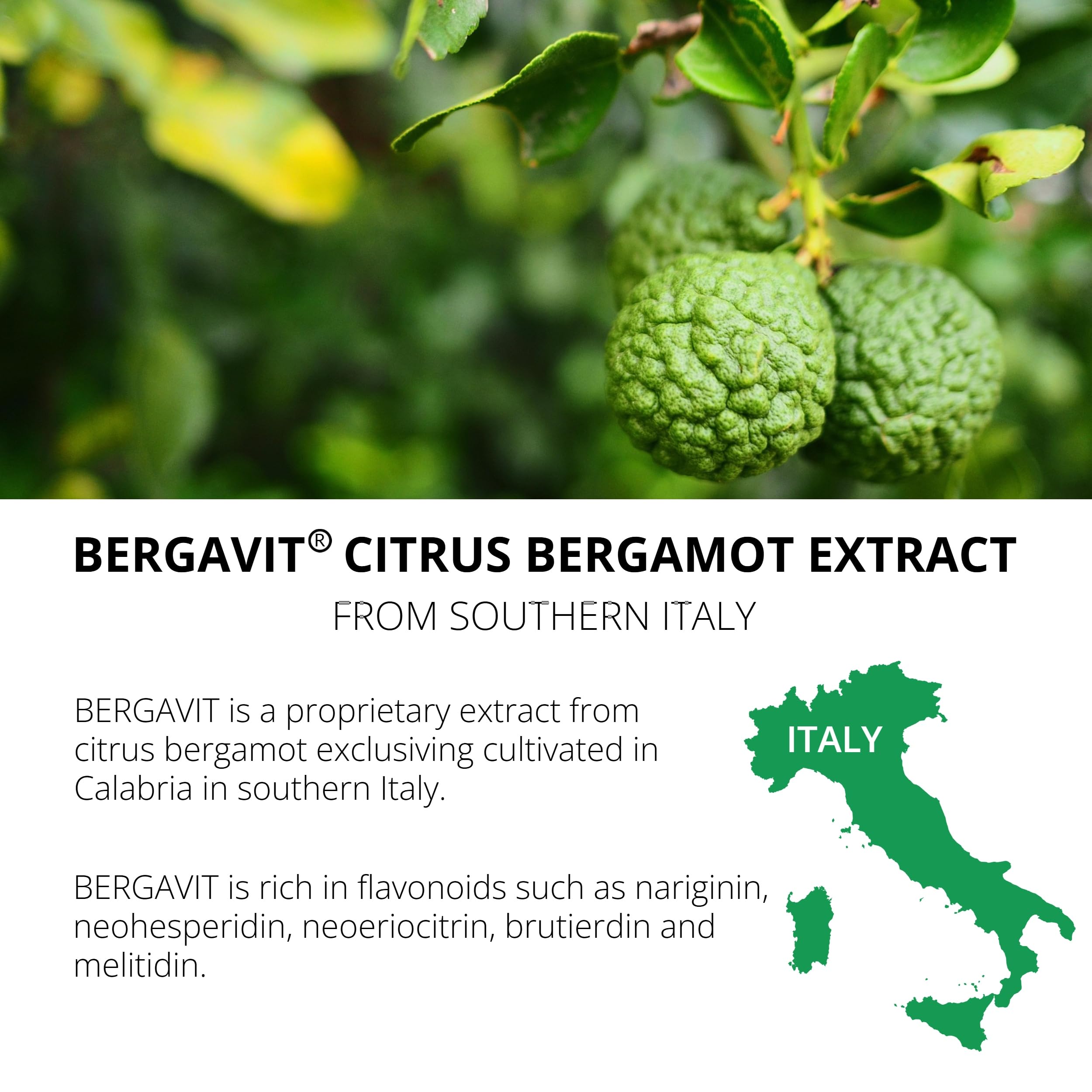 UpNourish Olive Leaf Extract with BERGAVIT bottle top view
