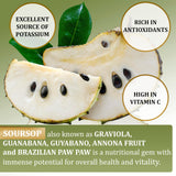 UR Treasure Nutrition Graviola Gummies on a wooden table