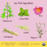 Urban Moonshine Joy Tonic 8 Fl Oz with herbs