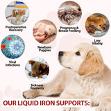 Uruses Liquid Iron Drops for Dogs 28g close-up of dropper