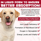 Uruses Liquid Iron Drops for Dogs 28g with dosage guide