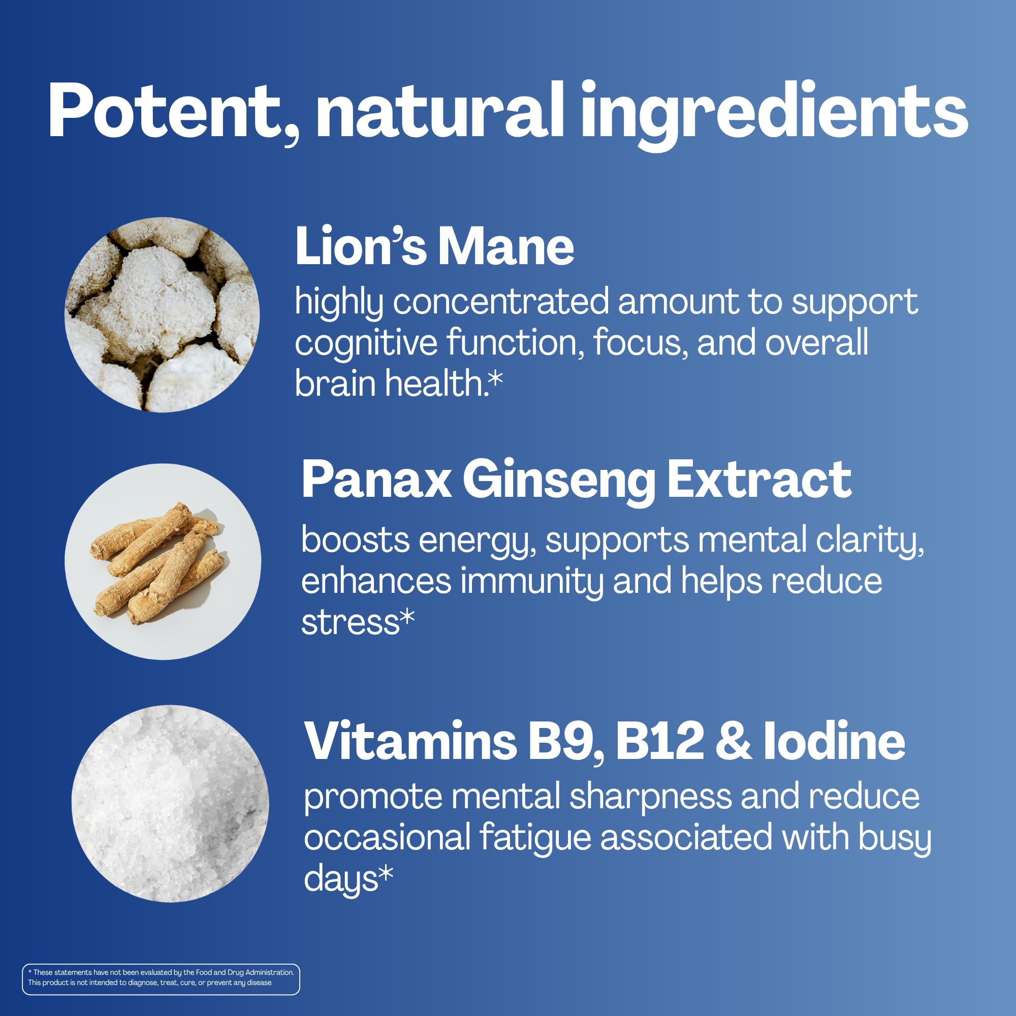 URVI Lion’s Mane Gummies in a hand