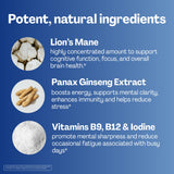 URVI Lion’s Mane Gummies in a hand