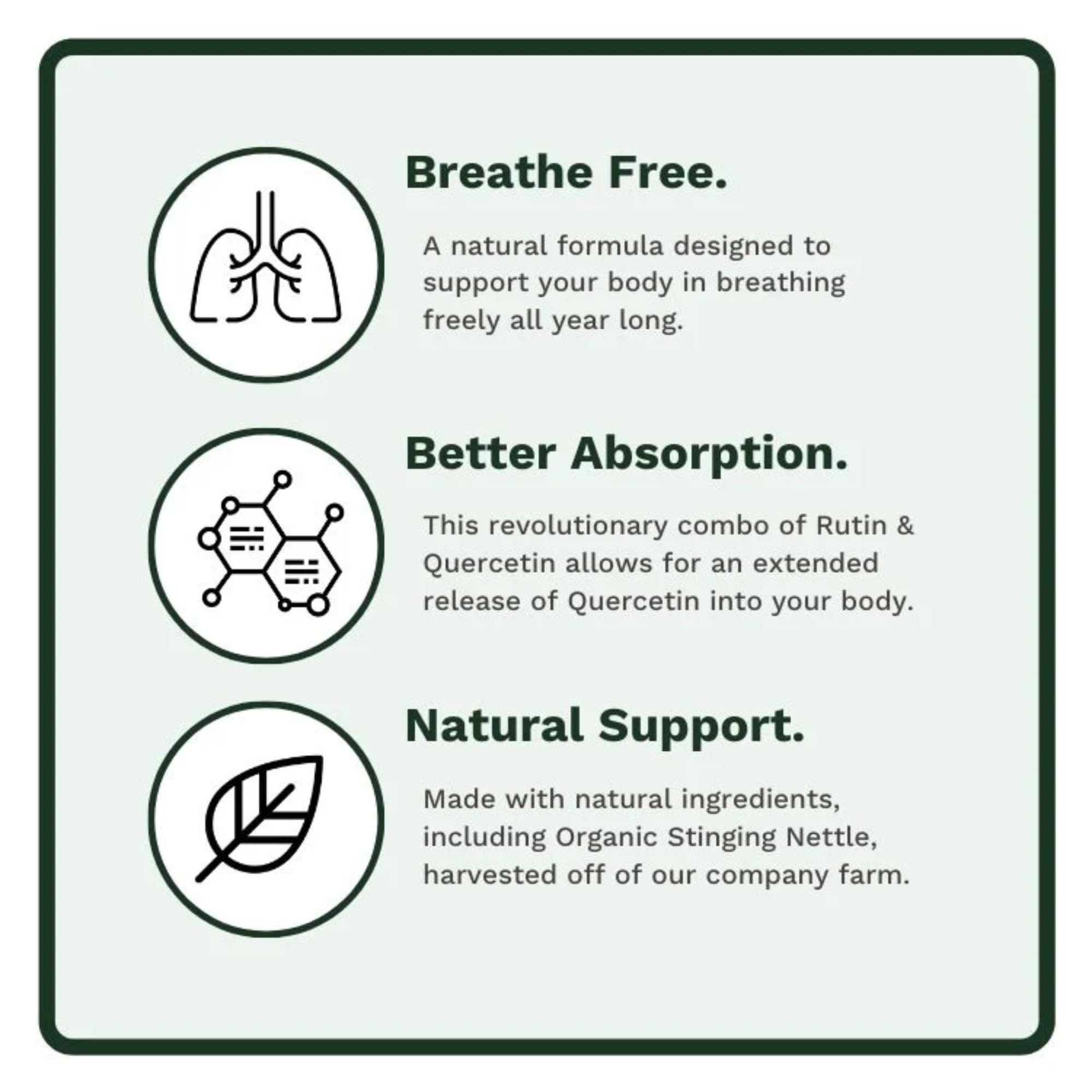 Utzy Naturals Allurtica Herbal Supplement ingredients list on back