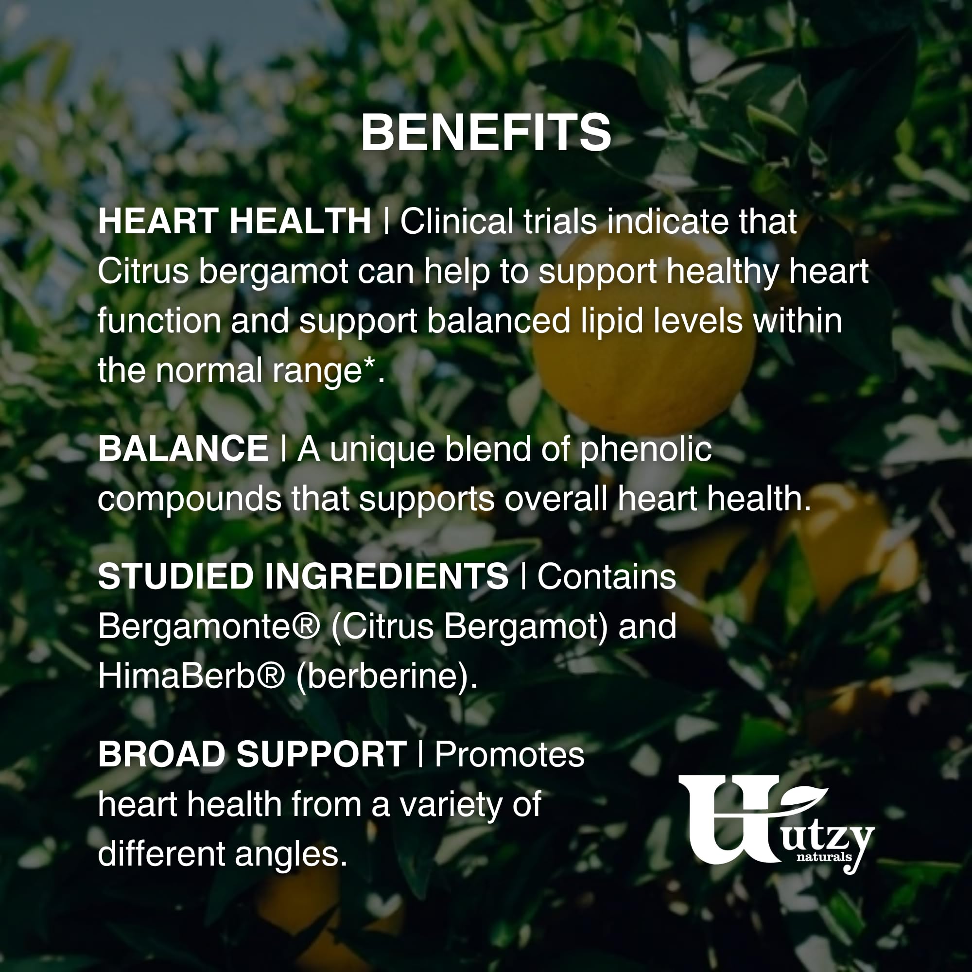 Utzy Naturals daily wellness Support Supplement ingredients list