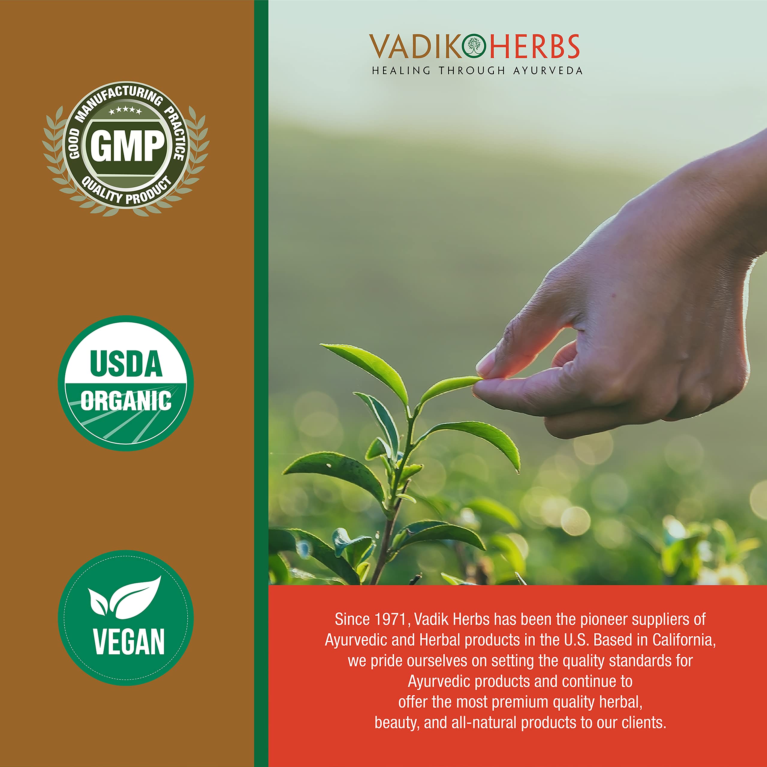Vadik Herbs Jatamansi Extract capsules with a glass of water