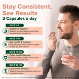 VAHDAM Psyllium Husk Capsules with a measuring spoon