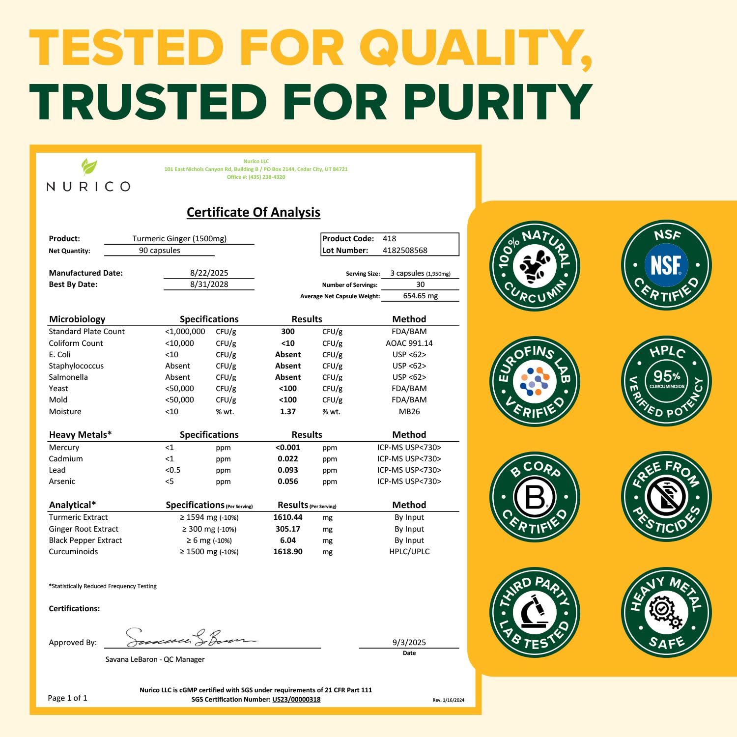 VAHDAM Turmeric Supplement with black pepper extract