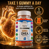 VAITE DHEA Chewable Gummies in hand