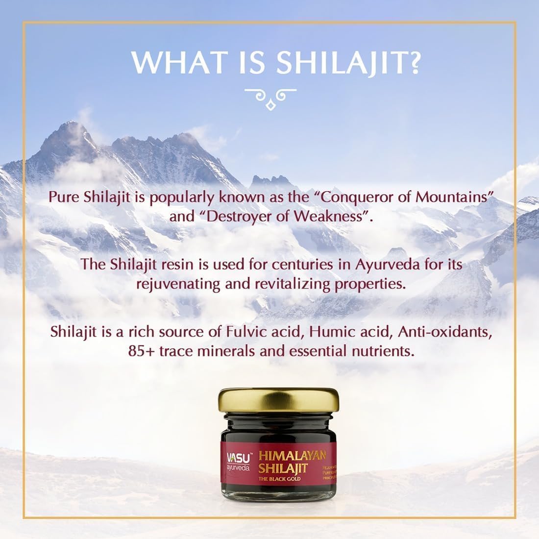Vasu Himalayan Shilajit Resin close-up of the resin
