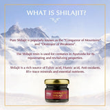 Vasu Himalayan Shilajit Resin close-up of the resin