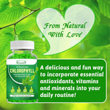 Vazatisi Chlorophyll Gummies with a glass of water