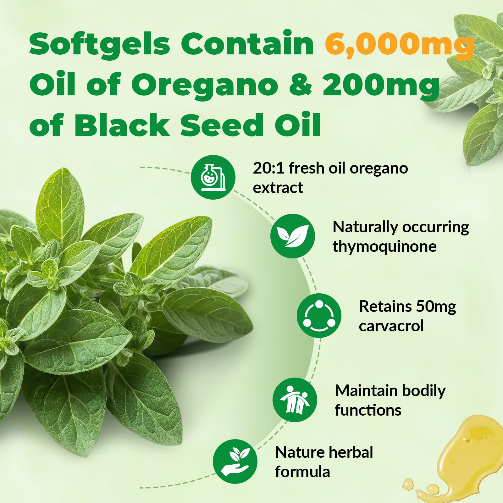 VBTOP Oregano Oil Softgels showing softgel capsules