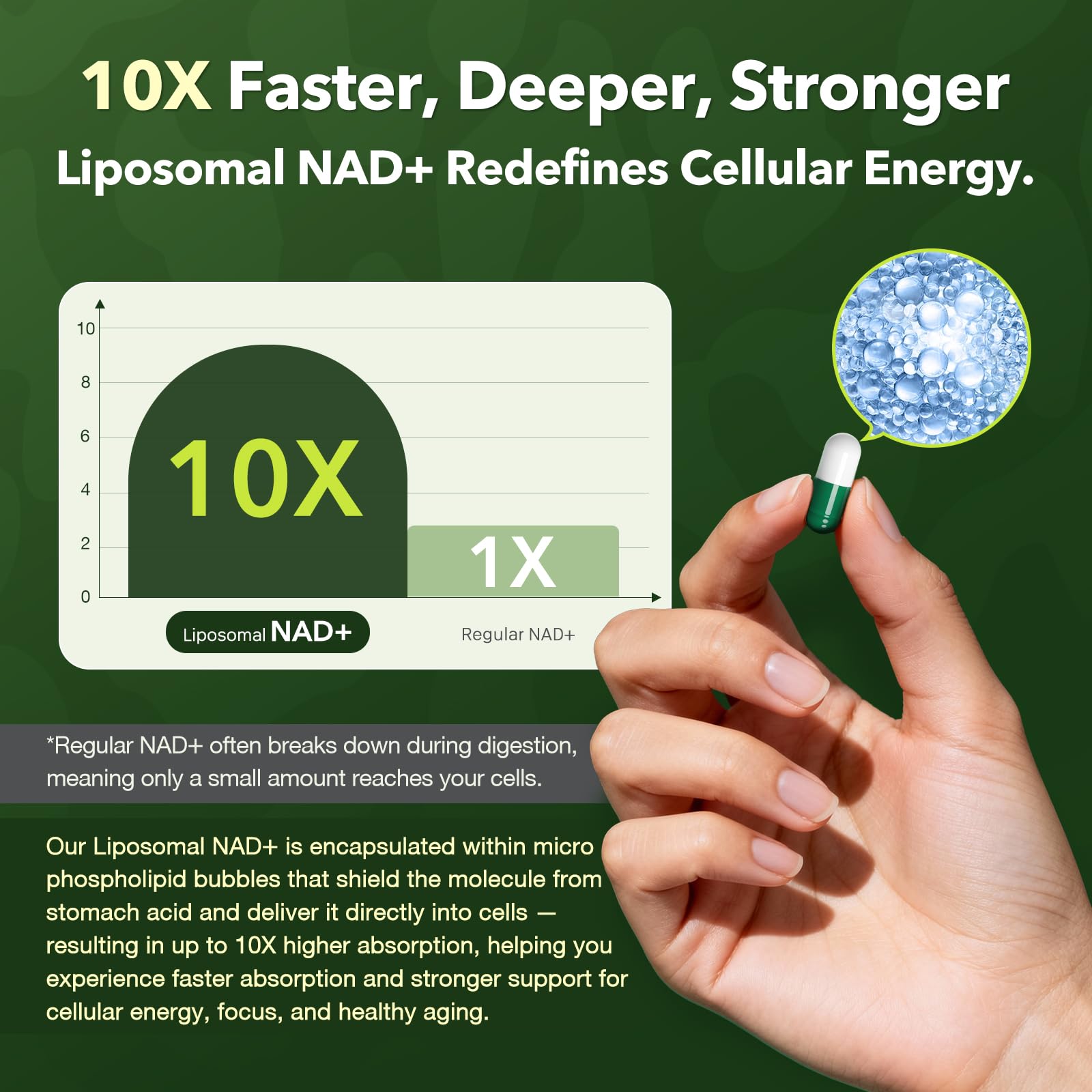 VCBIRD NAD+ Resveratrol Supplement 1200mg capsules