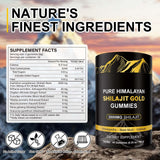 Vceeoy Shilajit Gummies back view with ingredient list