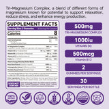VEETAGYO Tri-Magnesium Complex 430g side view