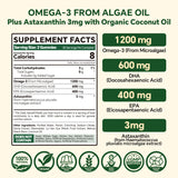 VEETAGYO Vegan Omega 3 Gummies 1200mg back view