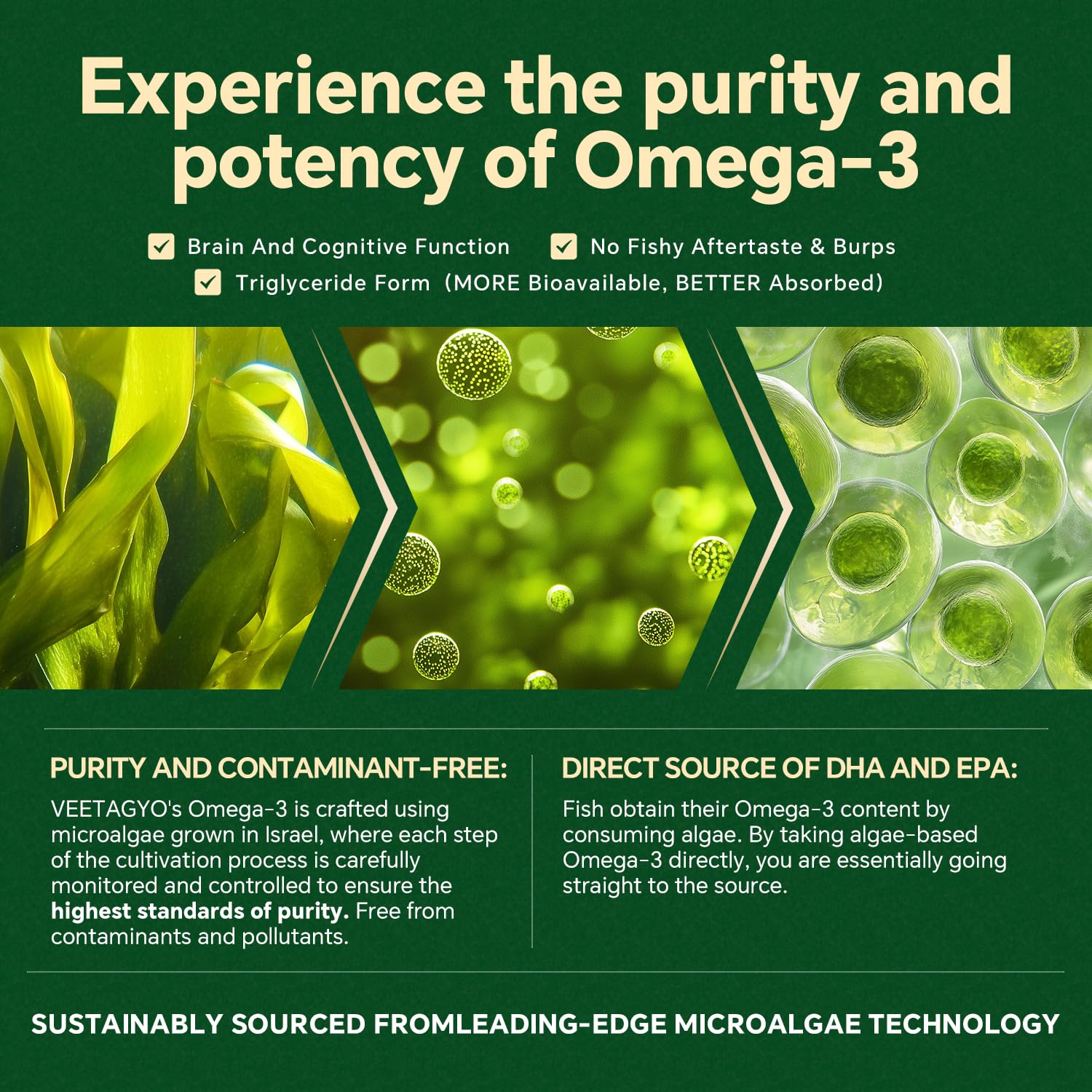 VEETAGYO Vegan Omega 3 Gummies 1200mg packaging