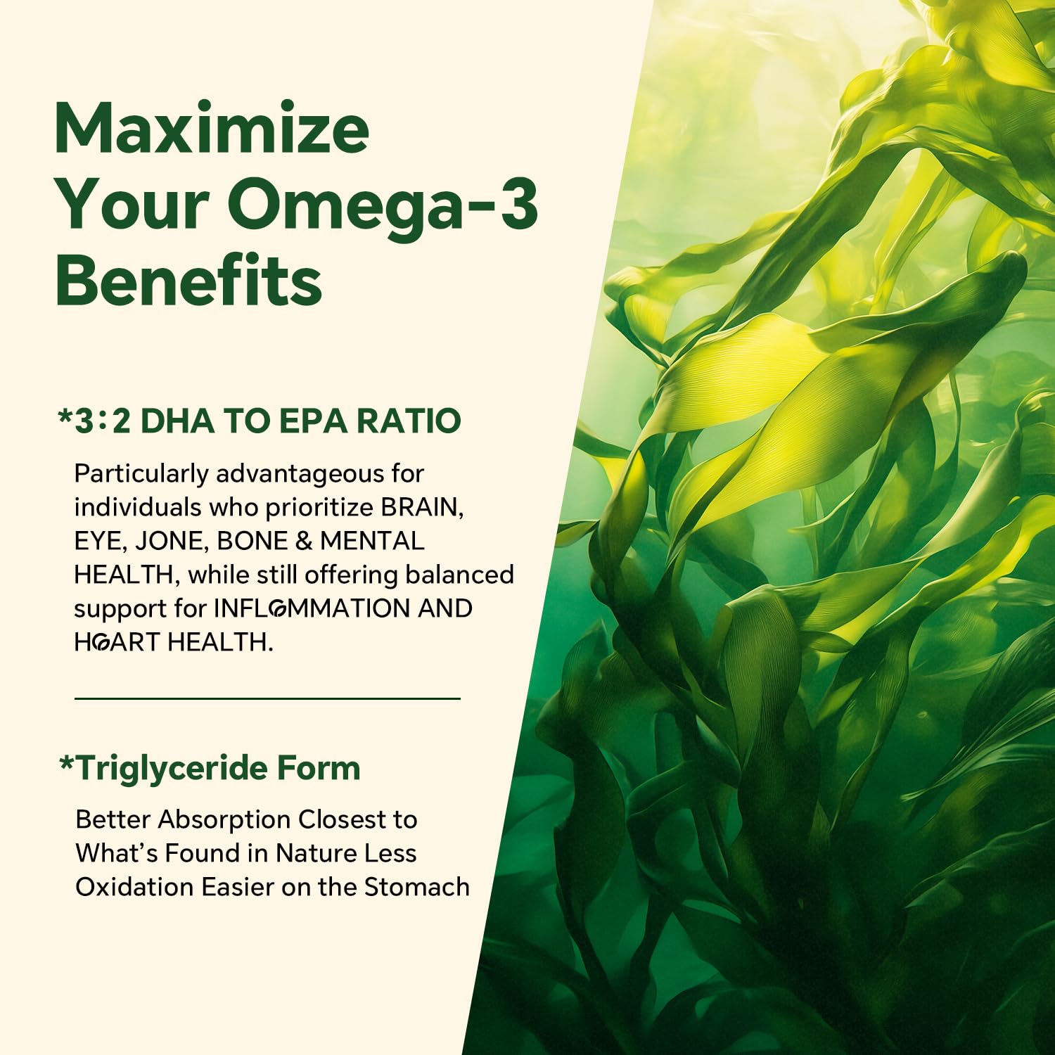 VEETAGYO Vegan Omega 3 Gummies with fresh fruits