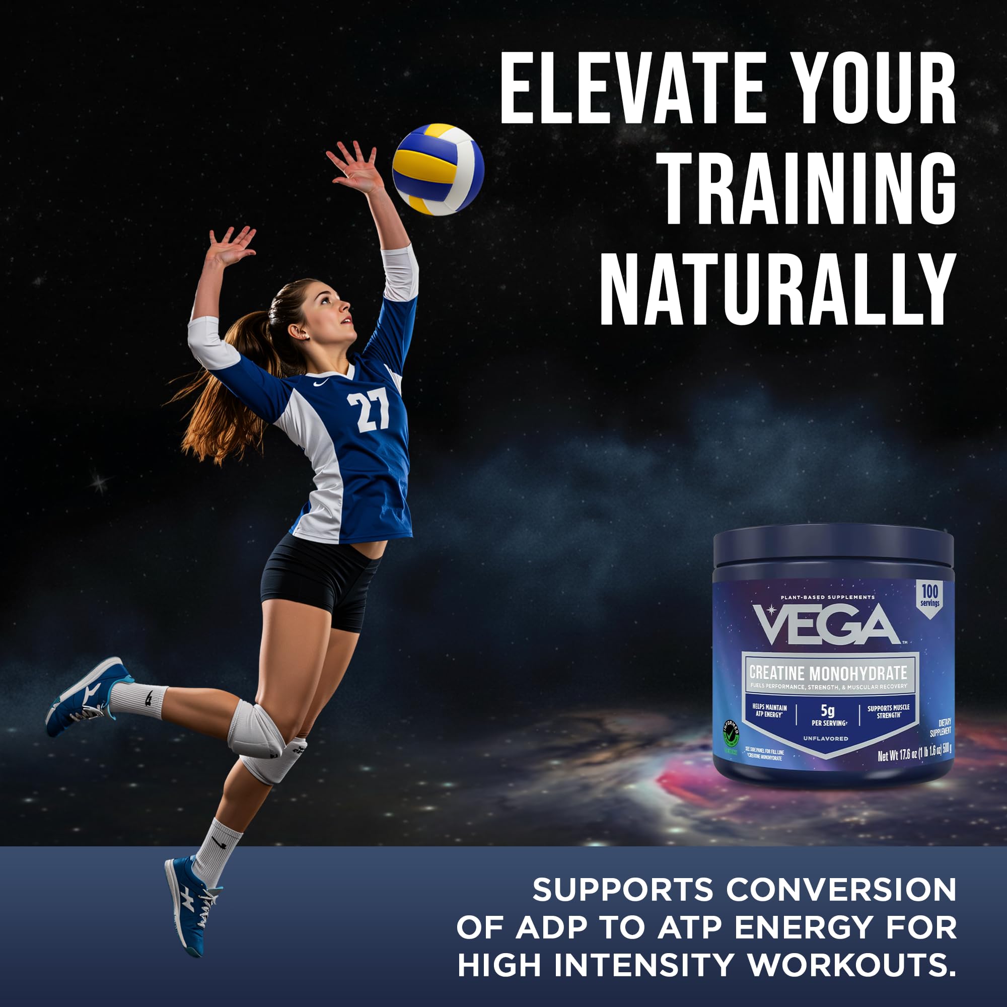 Vega Creatine Monohydrate Powder on a kitchen counter