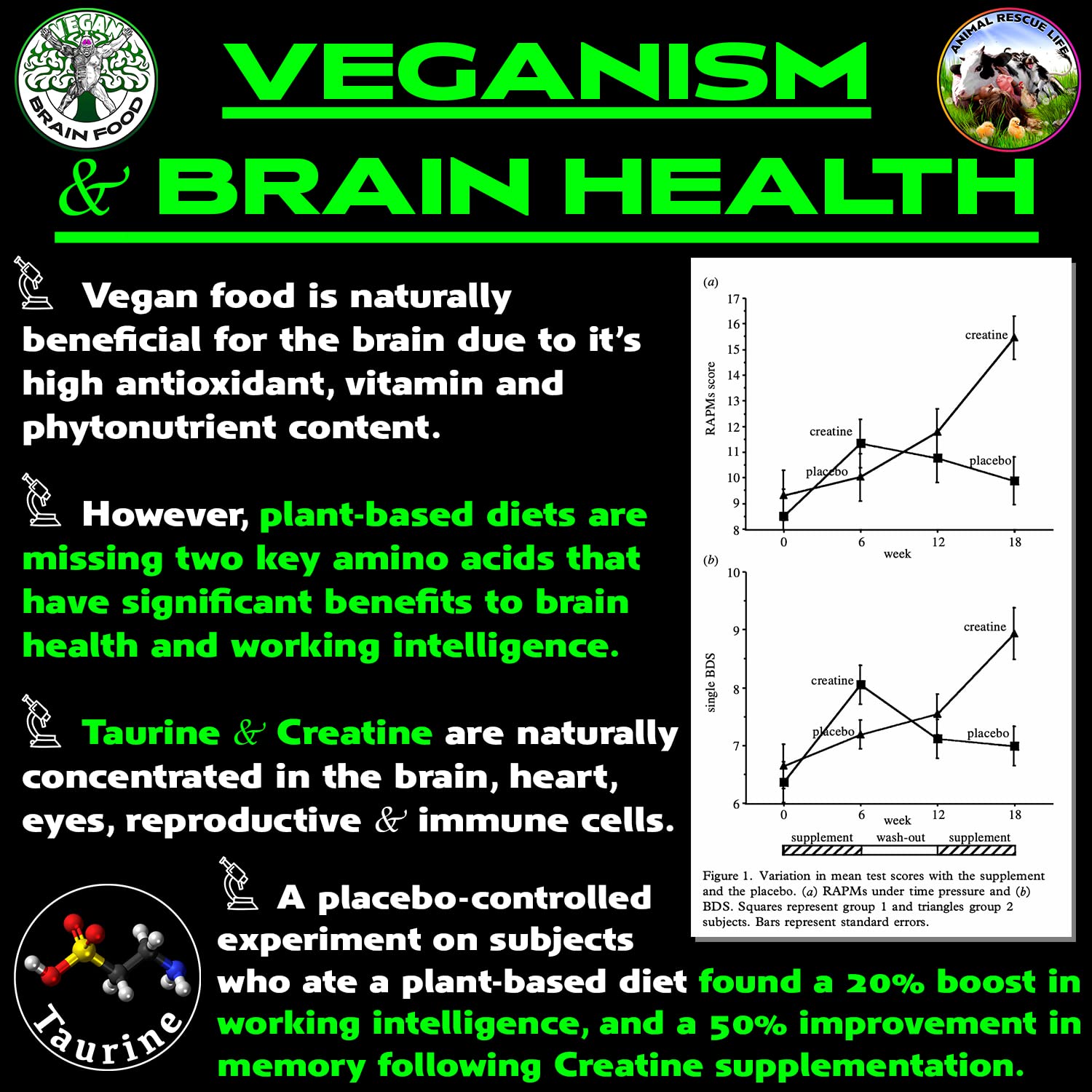 Vegan Brain Food blended supplement in a bowl