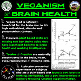 Vegan Brain Food blended supplement in a bowl