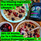 Vegan Brain Food Creatine Supplement 300g packaging