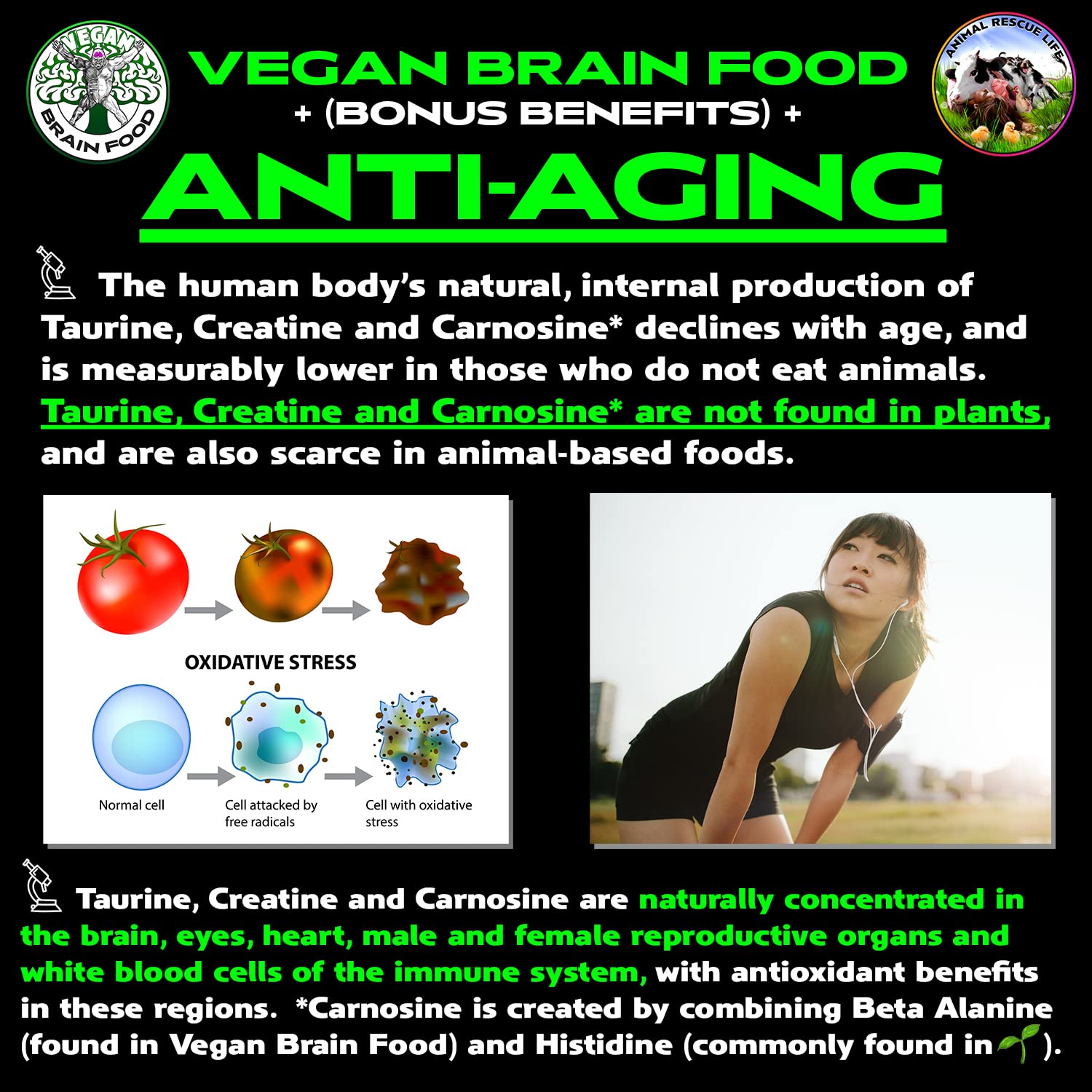 Vegan Brain Food Creatine Supplement 300g side view