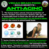 Vegan Brain Food supplement ingredients list