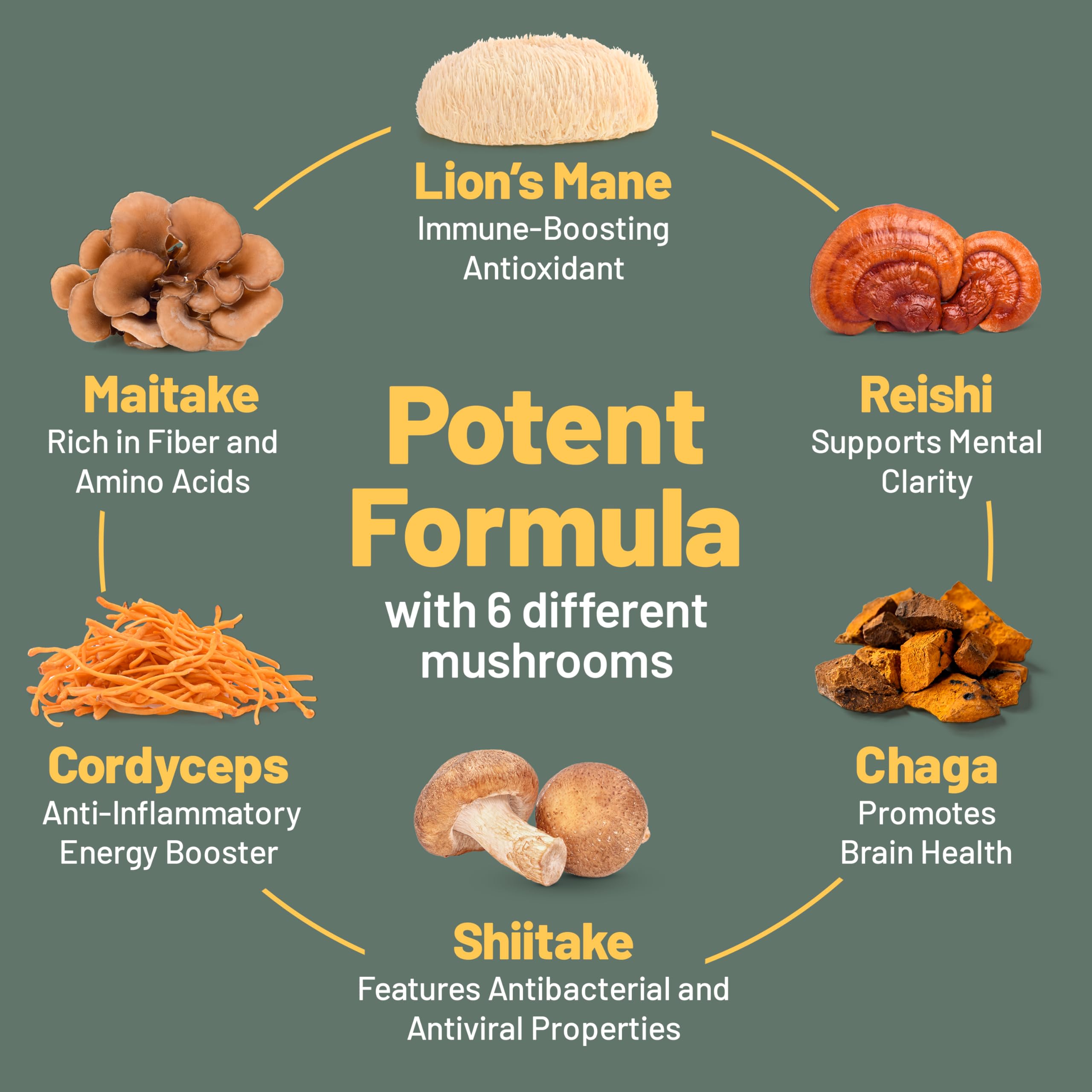 Vegan Vitality Lion's Mane Mushroom Capsules opened bottle