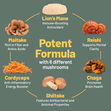Vegan Vitality Lion's Mane Mushroom Capsules opened bottle