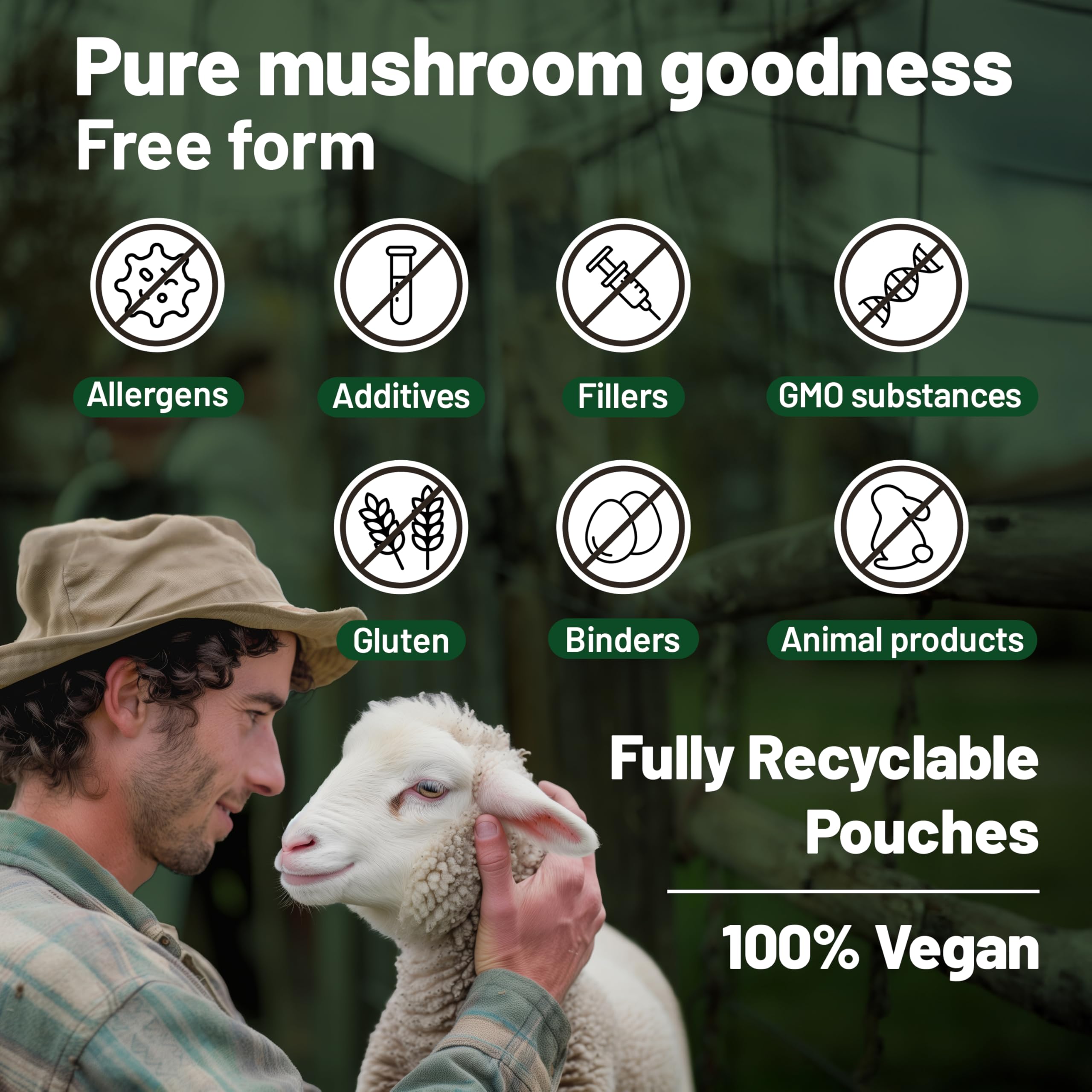 Vegan Vitality Lion's Mane Mushroom Capsules with other supplements